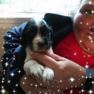 Meet your Posher, Mary